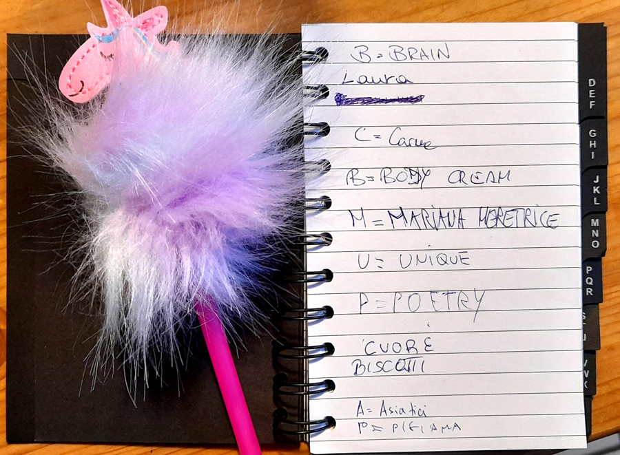 penna a unicorno e agenda con scritto i fetticci